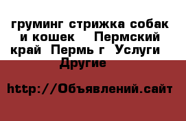 груминг(стрижка собак и кошек) - Пермский край, Пермь г. Услуги » Другие   